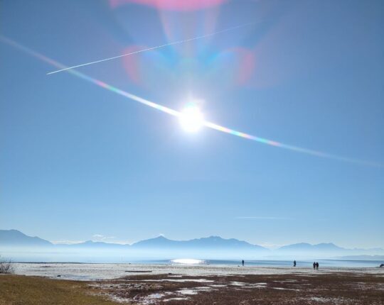Chiemsee-SonnenBlumedesLebens