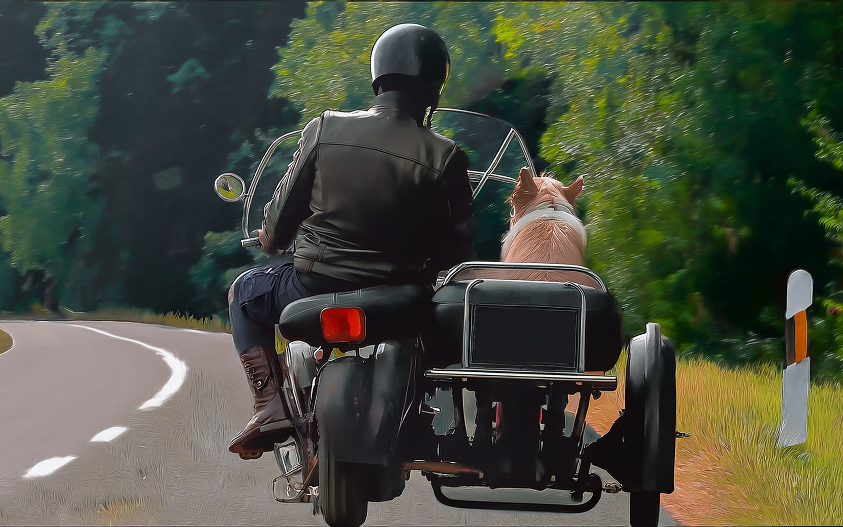 KI Hund MotorradBeiwagen