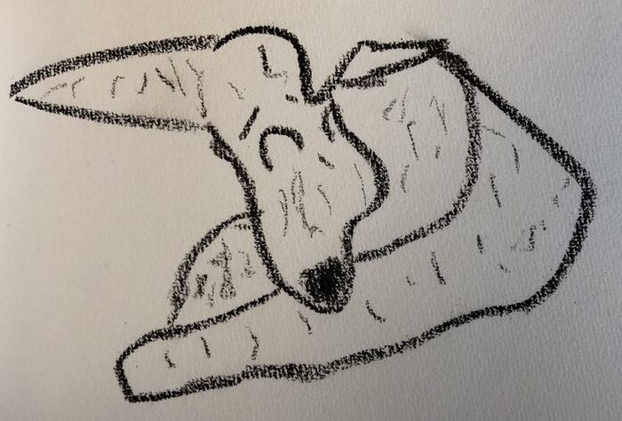 29BB80D7 6D53 423C A981 352181519626 1 105 c e1747962957514