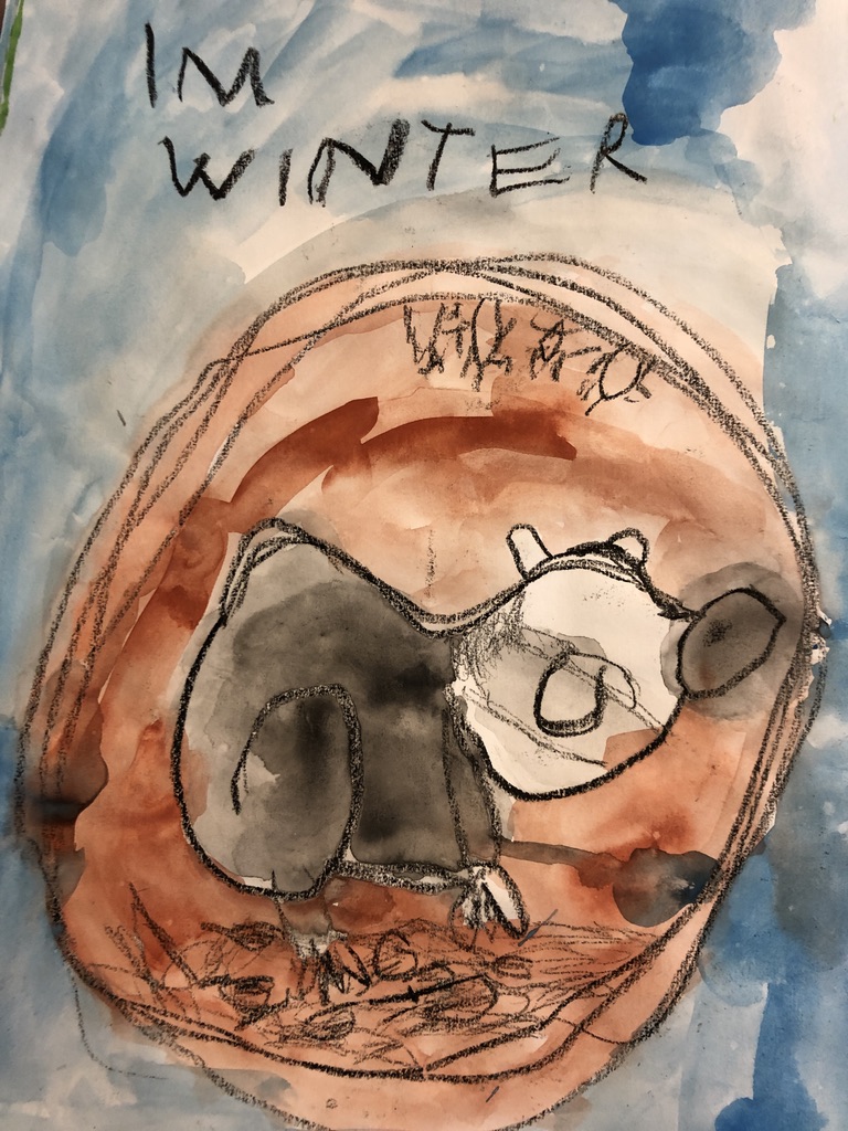 8FFB278E 120F 44DF 9FF2 7DC57F2FE6E4 1 105 c 1