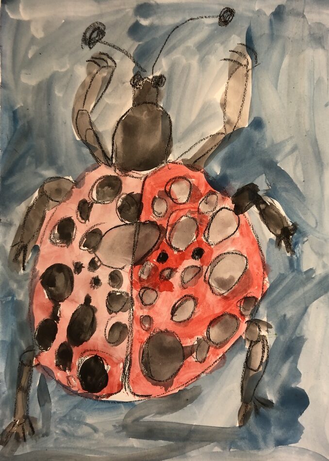 BC04E876 2007 42EC 828F 9B9559827682 1 105 c e1747968397690