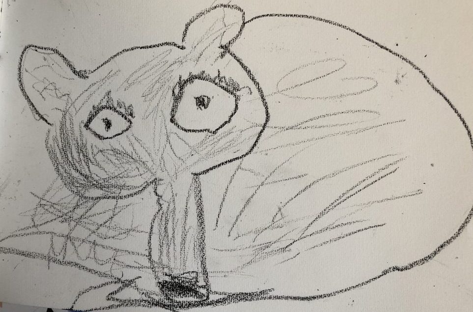 D036AACC A5BC 45A5 A54A C44A2AD462C0 1 105 c e1747962984323