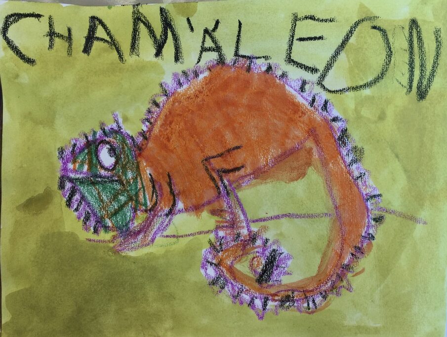 DEFB5A0C E5B4 4F65 A07D 8D2ECFCBFE44 1 105 c e1747960724698