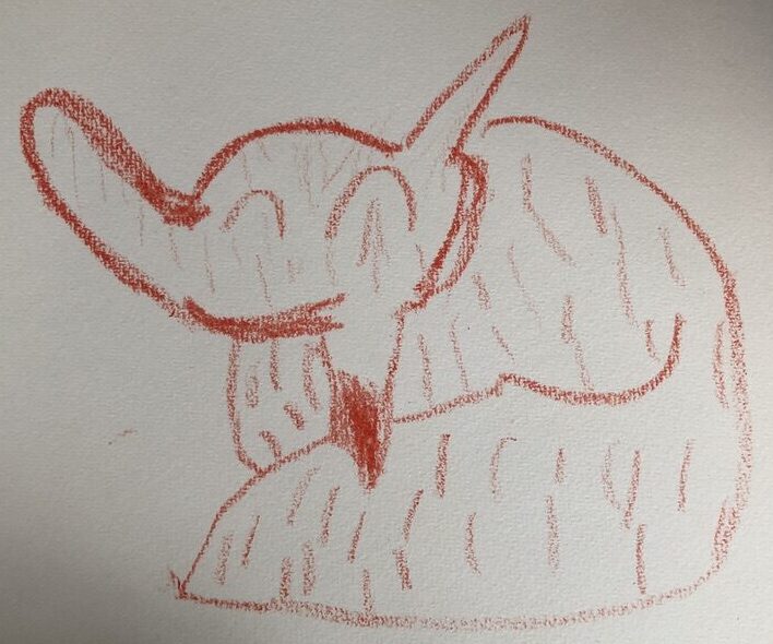 FBFD0F07 47F3 43B2 9406 1526D75B1BBF 1 105 c e1747962860817