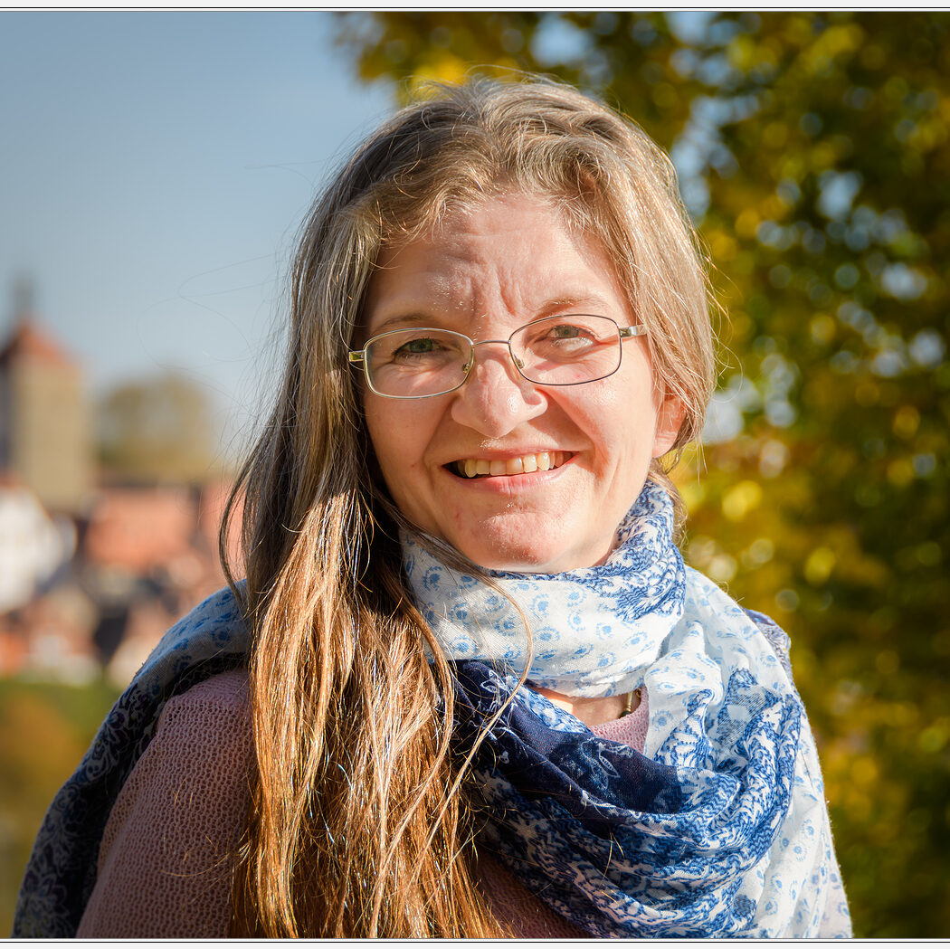 cropped rothenburg d500 16140