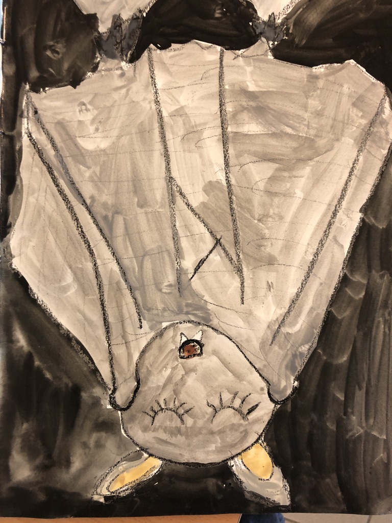 29085BB6 3880 4EFF B72F 0D3E26FA6B1C 1 105 c