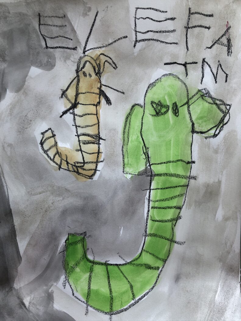 2FA54D99 4CA8 4F87 805F 42588BF9D46E 1 102 o